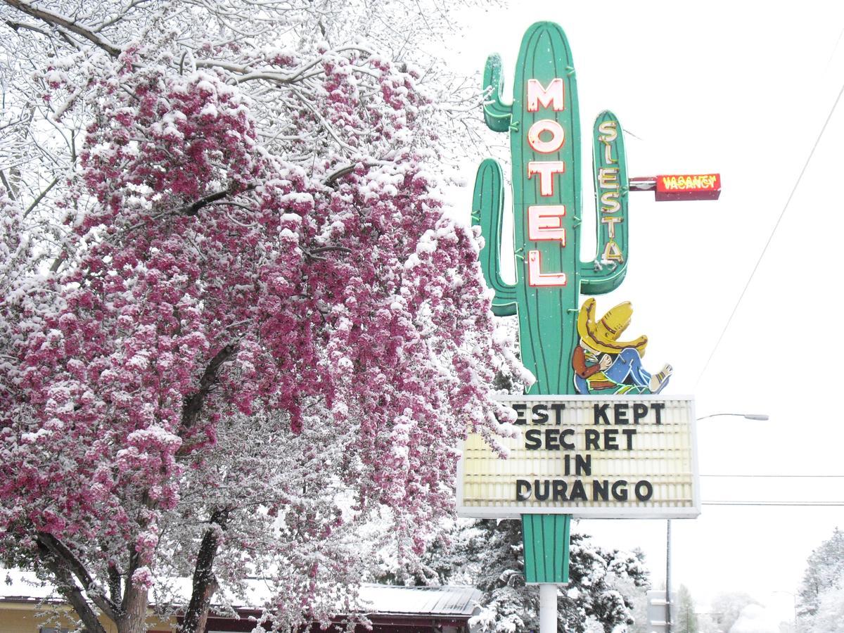 Motel The Siesta Durango